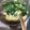 くうandホームズ's cooksnap of when they made 卵と三つ葉のフカヒレスープ.