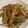 papikun's cooksnap of when they made 作り置き☆じゃが芋と人参のバター醤油炒め.