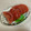 papikun's cooksnap of when they made トマトの塩胡椒がけ.