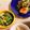 mack♪♪♪'s cooksnap of when they made 三つ葉と水菜とレタスのサラダ ポン酢ドレ.