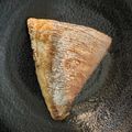 KAORU4649's cooksnap of when they made 鯛の塩焼き（白身魚）をパサツきなく.