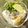 にきけん's cooksnap of when they made 冷奴+しらす+ネギ+レモン+醤油かけ.