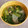 トモ２'s cooksnap of when they made 大根と小松菜のあっさりスープ.