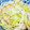 kaori238's cooksnap of when they made 節約簡単☆鶏胸肉ともやしのネギ塩炒め.