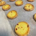 きなこショコラ's cooksnap of when they made ✵クランベリーチョコのクッキー✵.