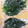 jonthon's cooksnap of when they made 青シソ塩漬け＆シソの葉おにぎり.