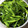 ねこのガストン's cooksnap of when they made 生 茎わかめ 下処理.