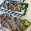 yu🐓's cooksnap of when they made いわしのお刺身～おろし方.