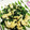 まぶたん's cooksnap of when they made ほうれん草のたまご炒め.