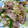 クック00Q0QZ☆'s cooksnap of when they made にんにくの芽と豚肉の炒め物.