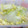 あきつま（杏花☆）'s cooksnap of when they made 簡単中華・白菜と卵の塩炒め.