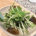 初心者はっちー's cooksnap of when they made 豆苗と人参の塩昆布サラダ♪.