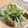 初心者はっちー's cooksnap of when they made 豆苗と人参の塩昆布サラダ♪.