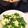 stot's cooksnap of when they made 簡単♡菜の花のにんにく炒め.