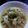 TYSK's cooksnap of when they made 白菜と鶏むね肉のカレークリーム煮.