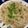 あおいわすとーん's cooksnap of when they made 低賃金で白米を流し込んでやるもやしナムル.