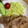 柴犬シバコ's cooksnap of when they made 簡単、柔らか生姜焼き.