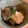 点転天's cooksnap of when they made 簡単☆すき焼き風な肉豆腐♪.
