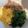 クック766L8K☆'s cooksnap of when they made ふっくらそぼろの三色丼♡我が家はピーマン.