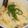 井澤綾華（井澤農園）'s cooksnap of when they made 釜玉風納豆うどん.