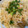 mi2sa9's cooksnap of when they made ハマる！もやしと白滝の明太子マヨポン和え.