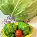 しーてっぷ's cooksnap of when they made ミニチュア＊キャベツおにぎり.