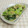 umemodoki's cooksnap of when they made ちんげん菜としめじのオイスター炒め.