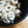 徹嫁っち's cooksnap of when they made ★ちくわのカレーツナマヨ和え★.