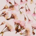 クックHG9V8Y☆'s cooksnap of when they made 桜の花の塩漬け.