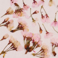 クックHG9V8Y☆'s cooksnap of when they made 桜の花の塩漬け.