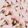 クックHG9V8Y☆'s cooksnap of when they made 桜の花の塩漬け.