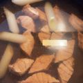順子姉's cooksnap of when they made 超簡単！余ったマグロの刺身でねぎま鍋.
