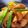 クックG1CG0C☆'s cooksnap of when they made 鶏肉とたけのこのシンプル煮.
