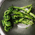 joseレシピ's cooksnap of when they made こごみの柚子胡椒マヨ添え.