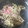 神威の糖質制限食堂's cooksnap of when they made しめじとほうれん草の卵炒め.