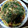 のりにてぃ's cooksnap of when they made ふわふわお好み焼き.