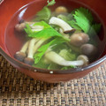 みずまんじゅう♪'s cooksnap of when they made セロリとしめじの簡単スープ.