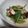 fu♪♪'s cooksnap of when they made タコと水菜のわさびサラダ.