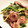 クック☆やーっ！'s cooksnap of when they made 旨旨簡単！〜ニンニクの芽と豚バラの炒め物.