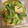 ピーナッツ子♪'s cooksnap of when they made ネギ嫌いでも食べれる簡単味噌炒め.