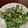 もものすけのまま's cooksnap of when they made サラダほうれん草と豆腐と塩昆布のサラダ.