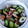 かなくんマミー's cooksnap of when they made 簡単♪節約☆きゅうりと竹輪の塩昆布和え.