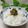 mielle's cooksnap of when they made ふきのとう味噌(ふき味噌)☆春の味を満喫.