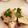 すみれ318's cooksnap of when they made たけのこの土佐煮.