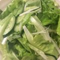 ベティ３'s cooksnap of when they made ＊サラダ菜サラダ＊.