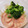 きょうりゅう's cooksnap of when they made ソース絶品♡簡単海老のマヨネーズソース.