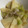 みにー2020's cooksnap of when they made 白菜が決め手☆筍と豚肉のオイスター炒め.