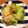 りんまるこちゃん's cooksnap of when they made むかわ町の春レタス③浅漬け.