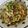 autumnyo's cooksnap of when they made 煮付けが変身！鰯の和風パスタ.