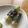 みかん茶's cooksnap of when they made ふきの天ぷら.